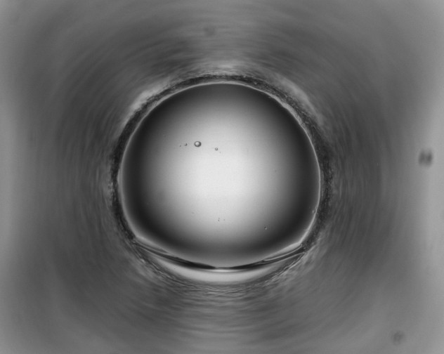 X0000099491218200805221330