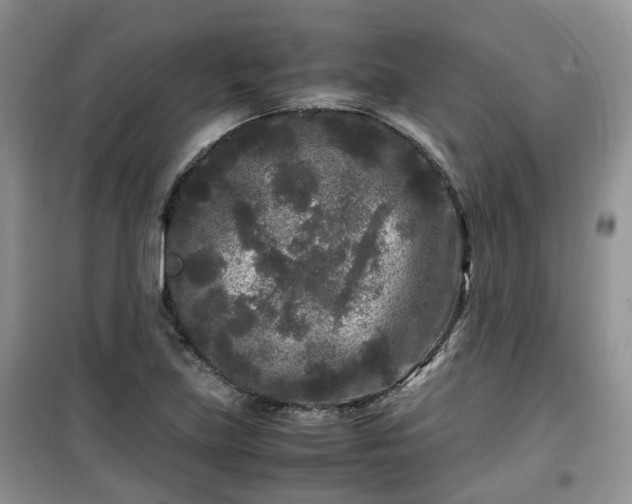 X0000099491219200805221330