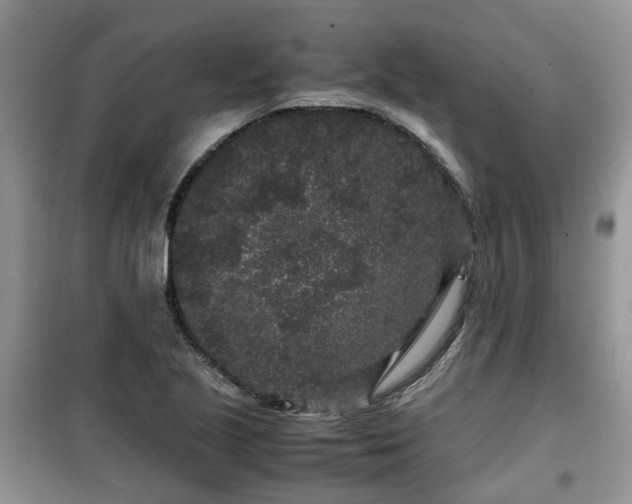 X0000099491221200805221330