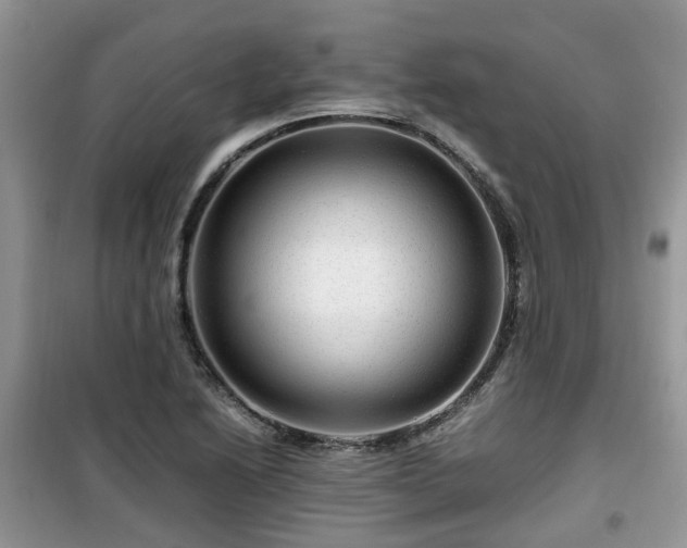 X0000099491222200805221330