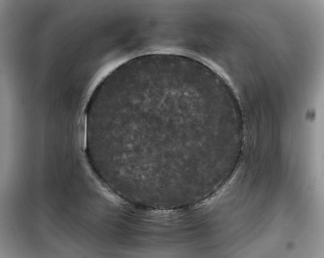 X0000099491223200805221330