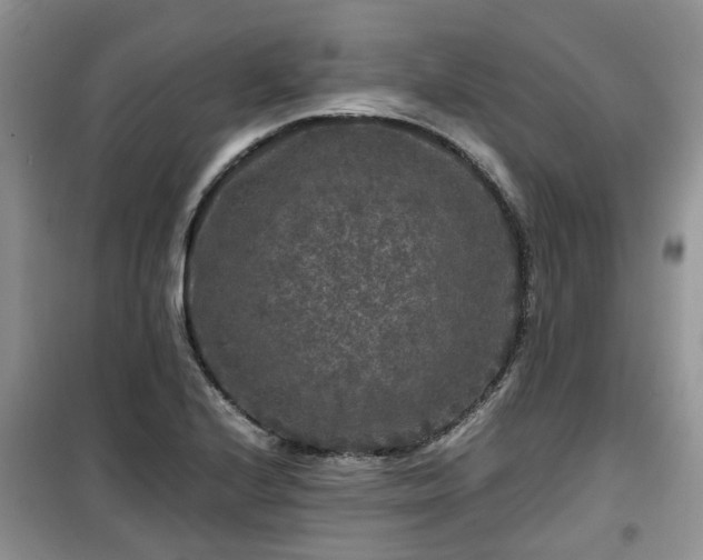 X0000099491224200805221330