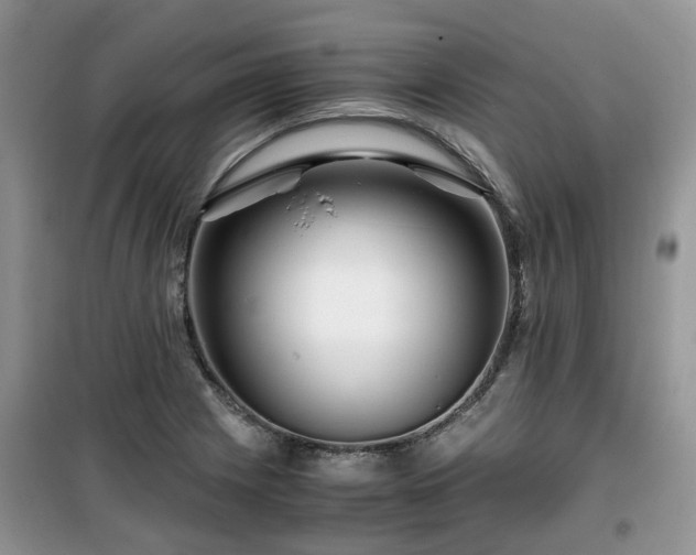 X0000099491225200805221330