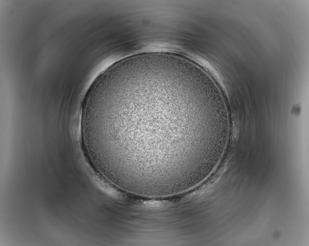 X0000099491227200805221330