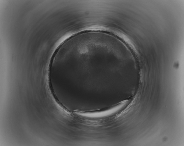 X0000099491229200805221330