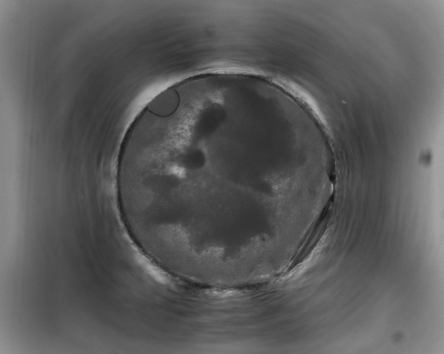 X0000099491231200805221330