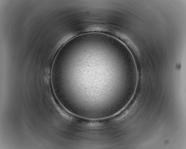 X0000099491233200805221330