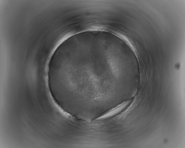 X0000099491235200805221330