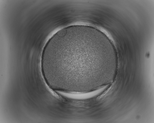 X0000099491237200805221330