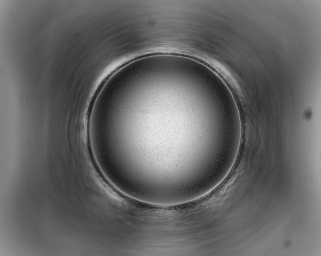 X0000099491238200805221330
