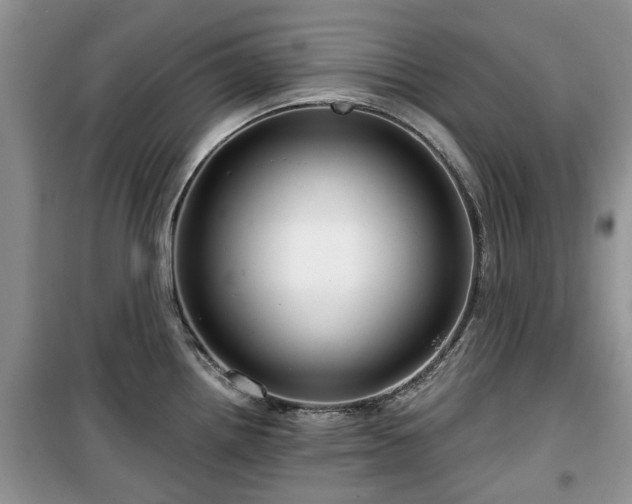 X0000099491242200805221330