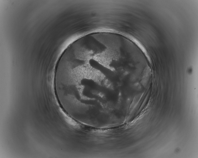 X0000099491245200805221331