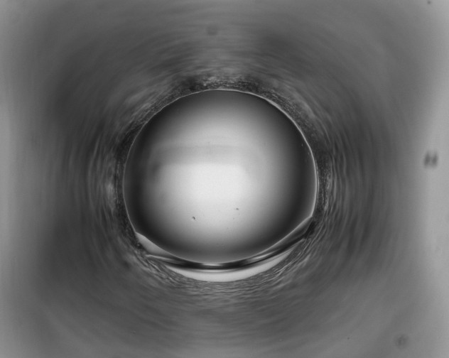 X0000099491250200805221330