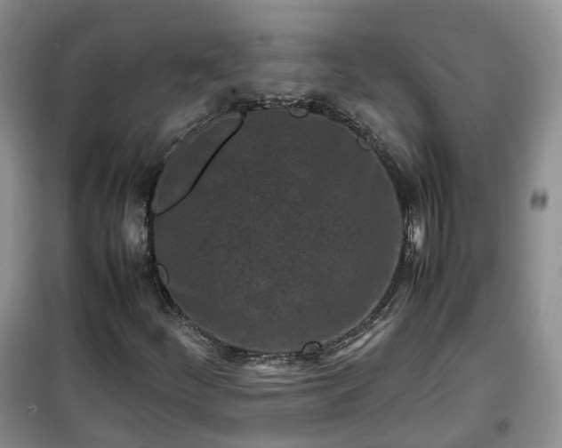 X0000099491252200805221330
