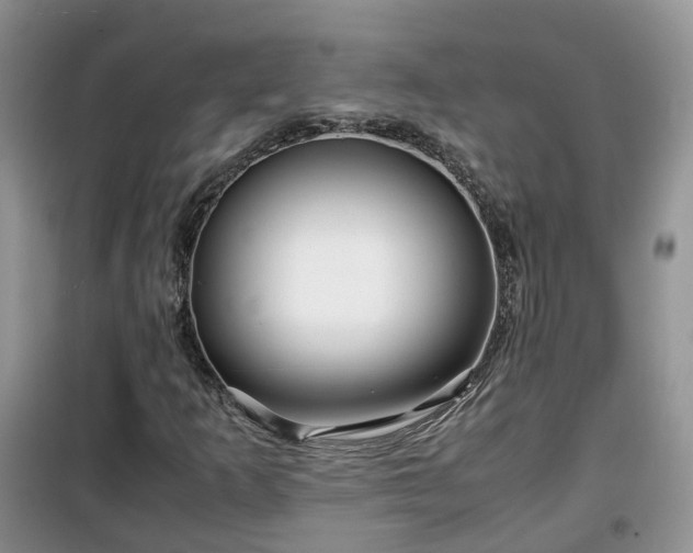 X0000099491253200805221330