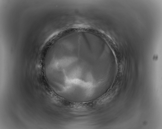 X0000099491254200805221330