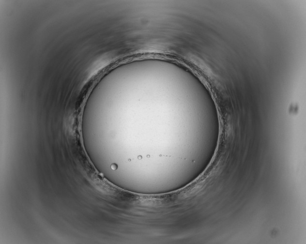 X0000099491258200805221330