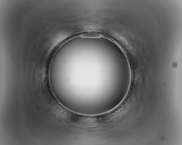 X0000099491261200805221330