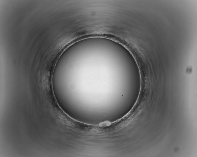 X0000099491265200805221330