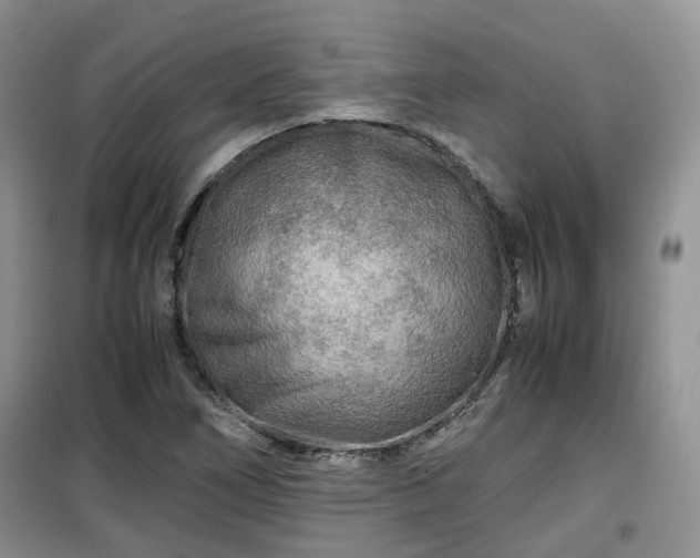 X0000099491266200805221330