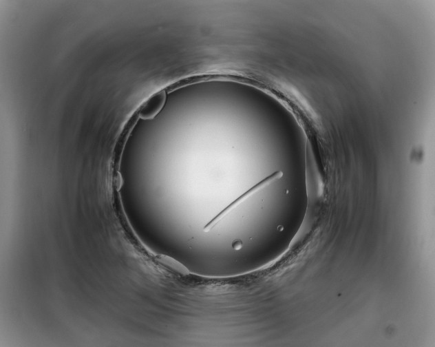 X0000099491268200805221329