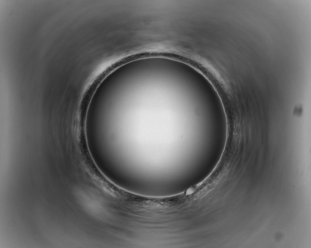 X0000099491270200805221329
