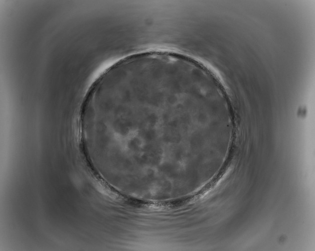 X0000099491271200805221329