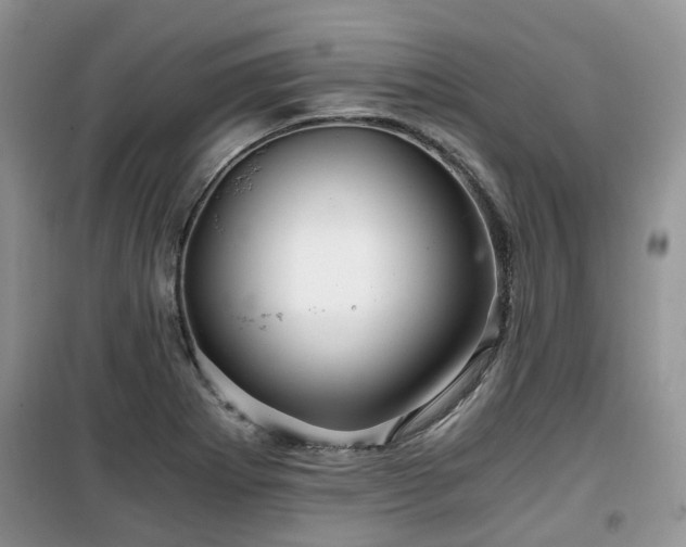X0000099491273200805221329
