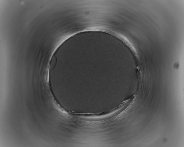 X0000099491276200805221329