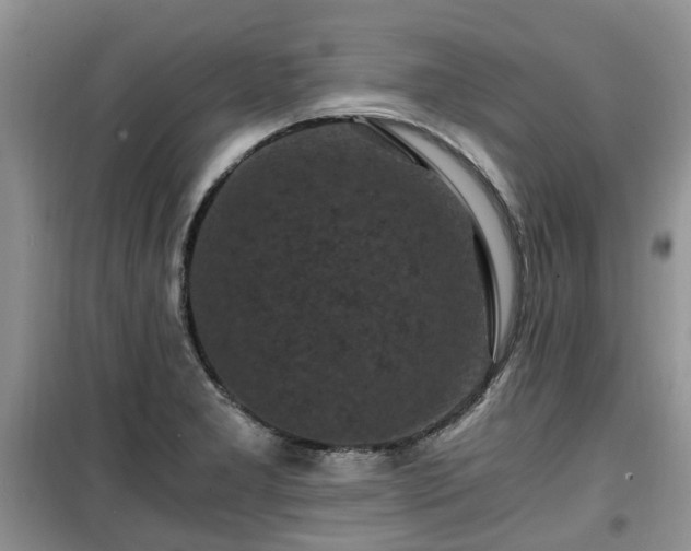 X0000099491277200805221329