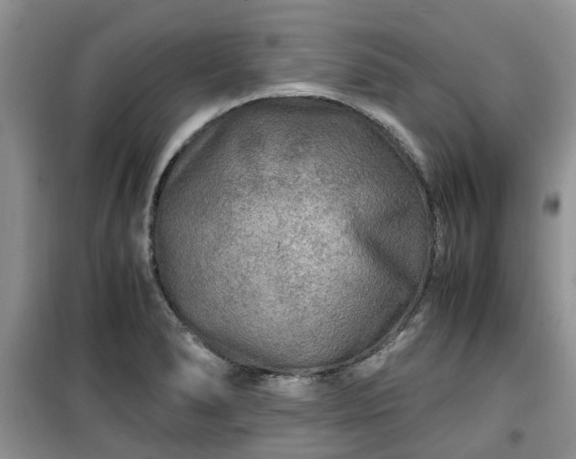 X0000099491278200805221329