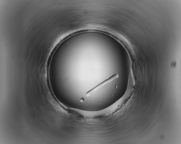 X0000099491280200805221329