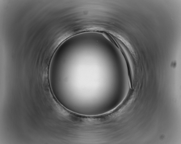 X0000099491281200805221329