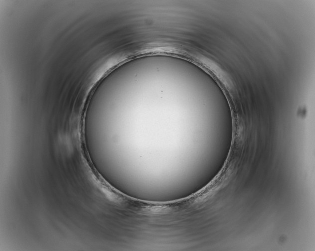 X0000099491282200805221329