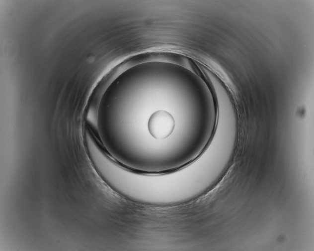 X0000099491284200805221329