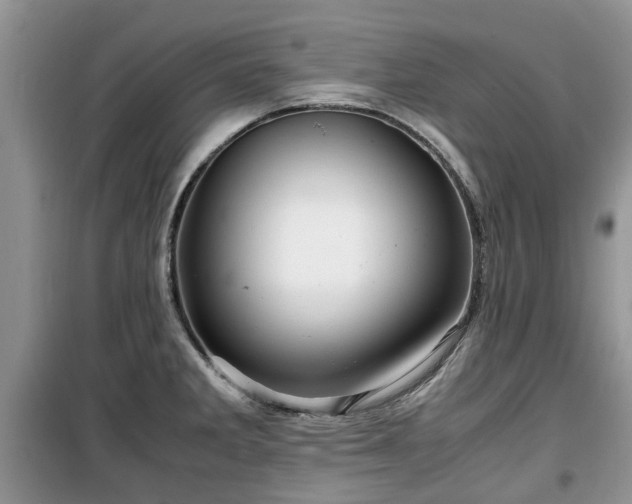 X0000099491285200805221329