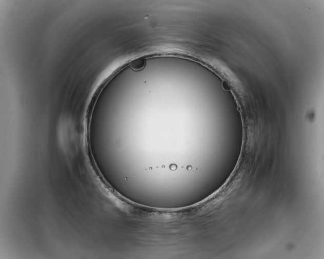 X0000099491286200805221329