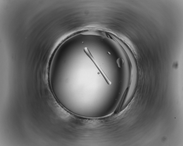 X0000099491288200805221329