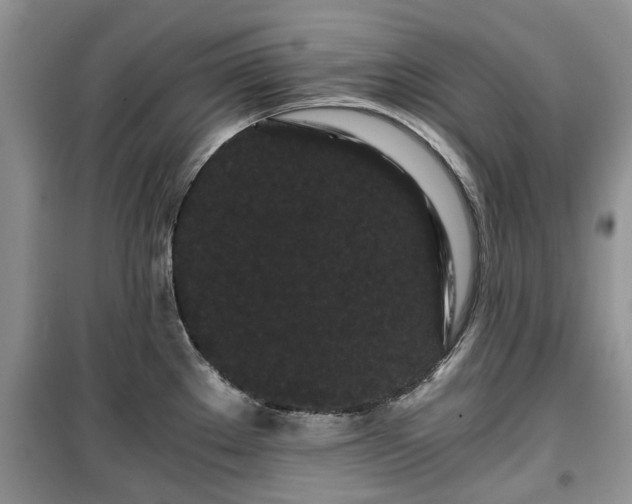 X0000099491289200805221329