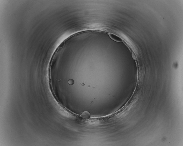 X0000099491291200805221329