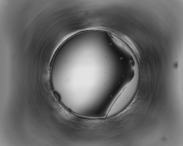 X0000099491292200805221329