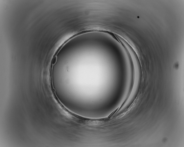 X0000099491293200805221329