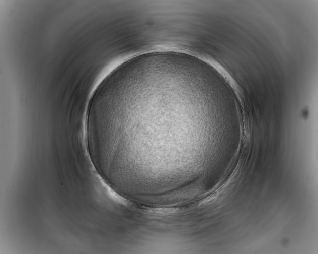 X0000099491294200805221329
