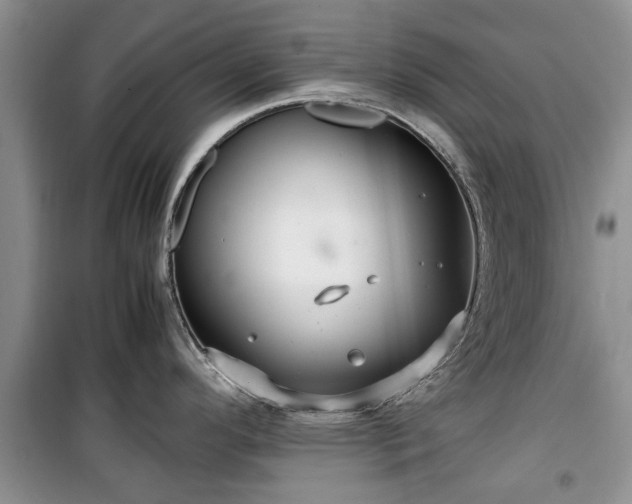 X0000099491296200805221329
