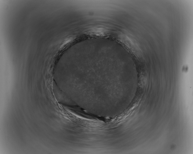 X0000099491297200805221328