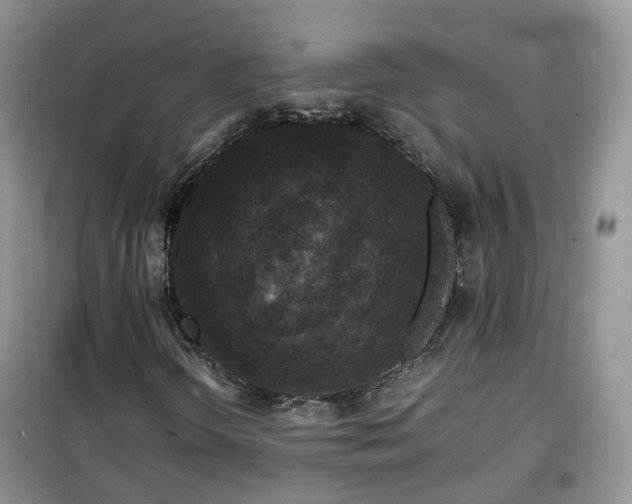 X0000099491298200805221328