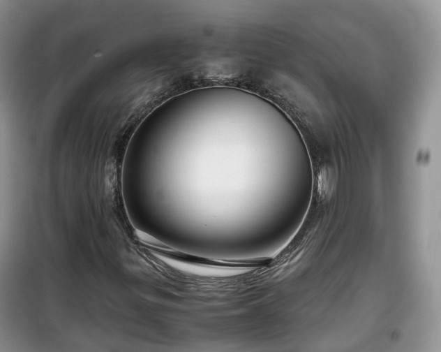 X0000099491299200805221328
