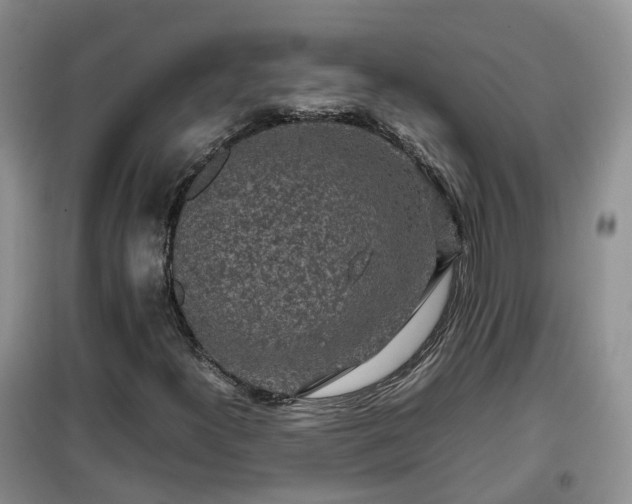 X0000099491300200805221328
