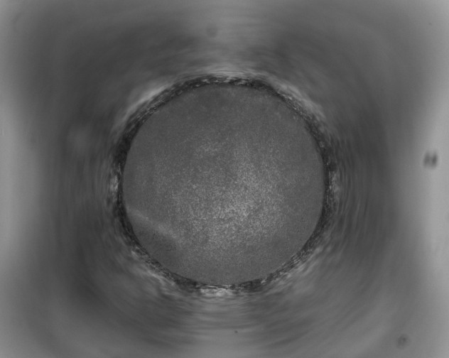X0000099491302200805221328