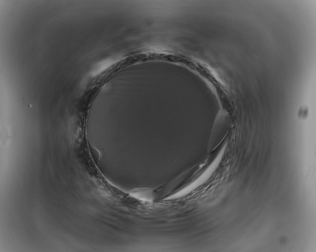 X0000099491303200805221328
